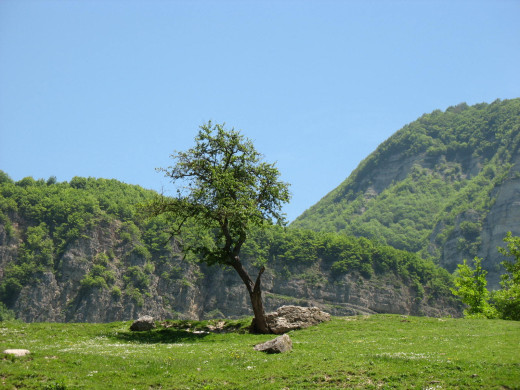 24368 (a): :1600x1200